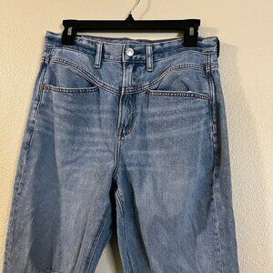 American Eagle Light Wash Double Yoke High Rise Straight Leg Jeans Size 8